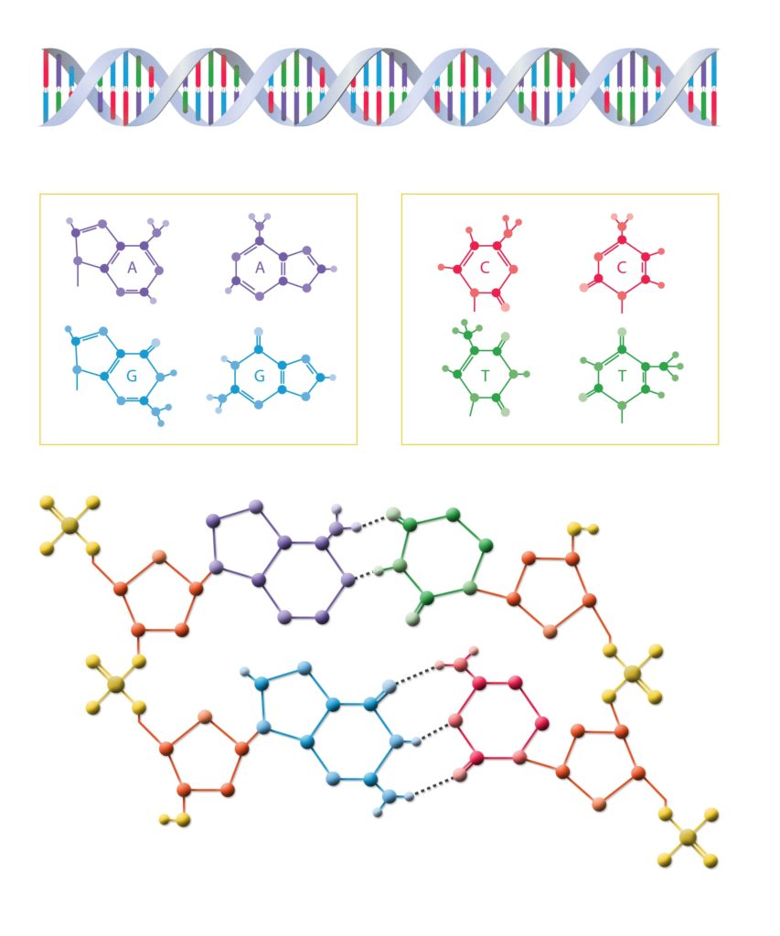 dna-2259813